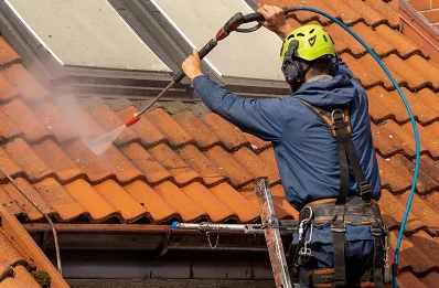 Démoussage et hydrofuge de toiture à Mouchard